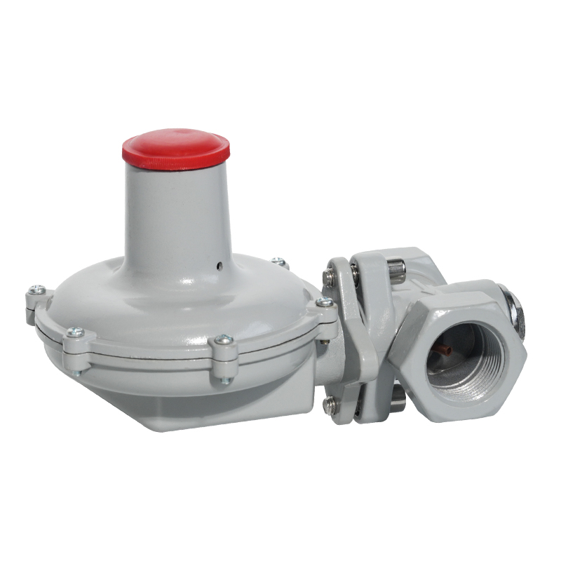 Supapa de siguranță Controlul gazelor Accesorii Pompe Regulator de presiune